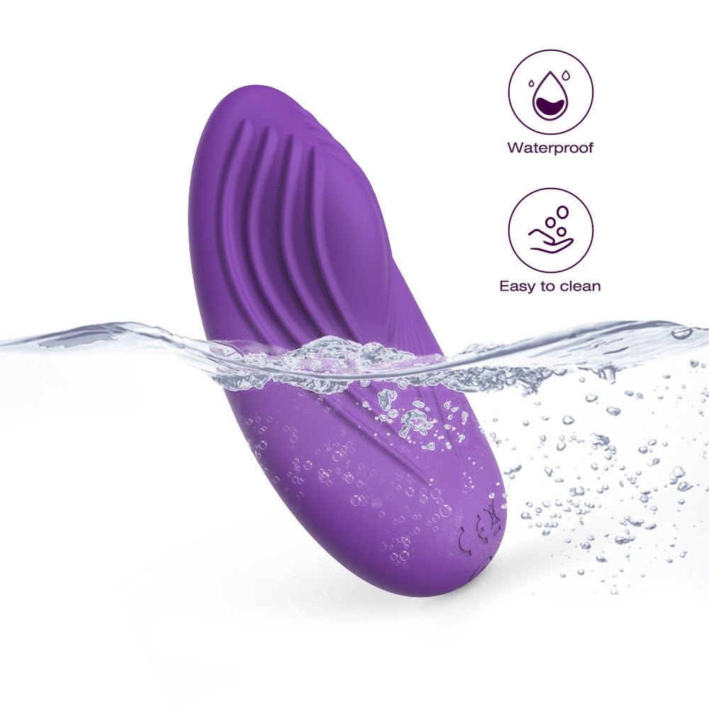 Wearable Vibrating Egg, G-Spot Stimulator, Rechargeable Wireless Remote Control Vibrator for Women