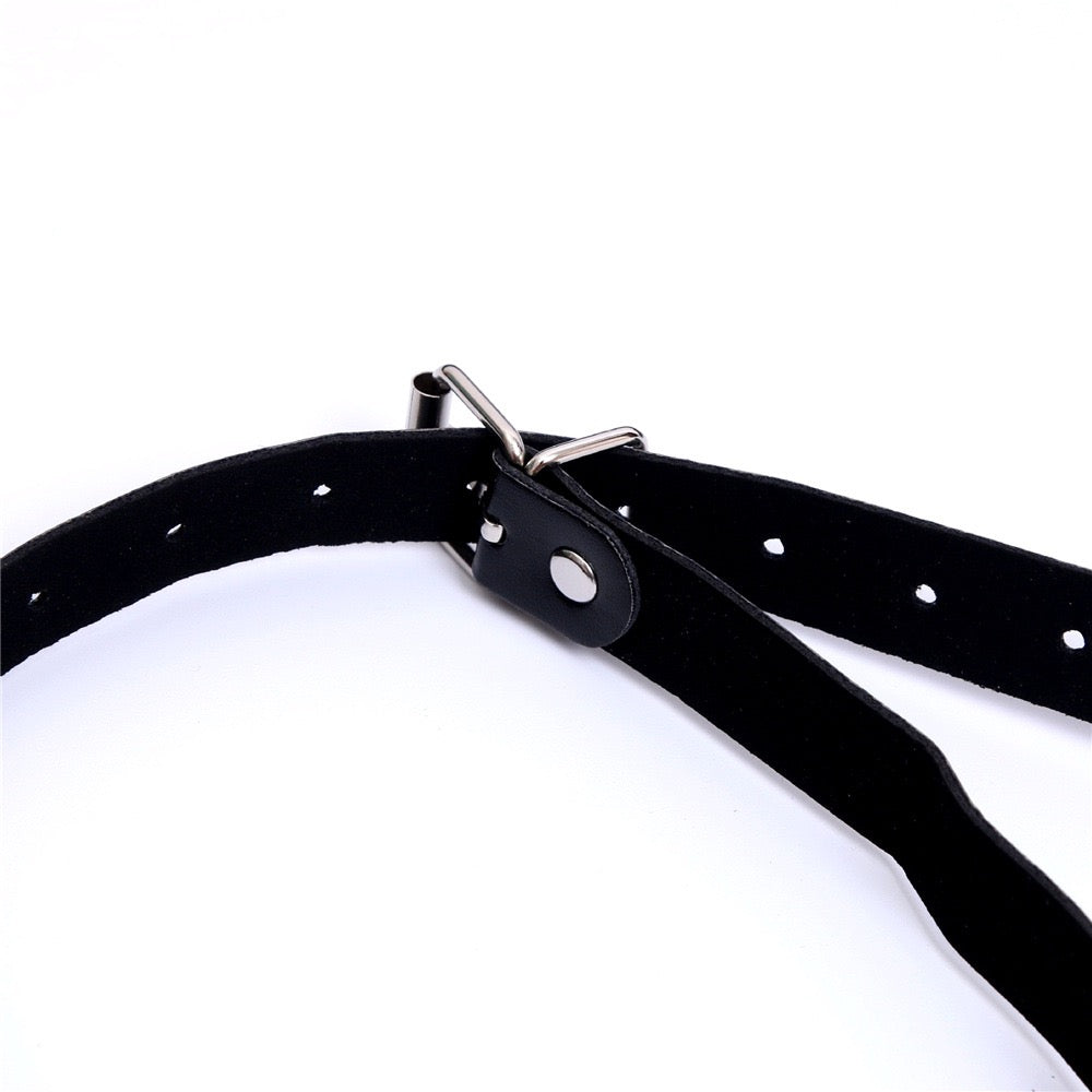 SM supplies, mouth gags, nipple clamps, and female bondage and discipline tools.